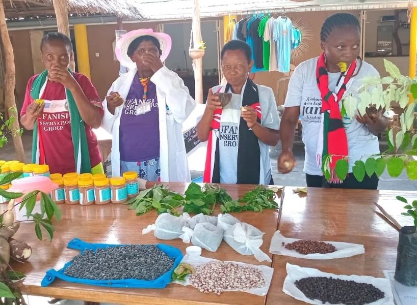 ufanisi website home page edited