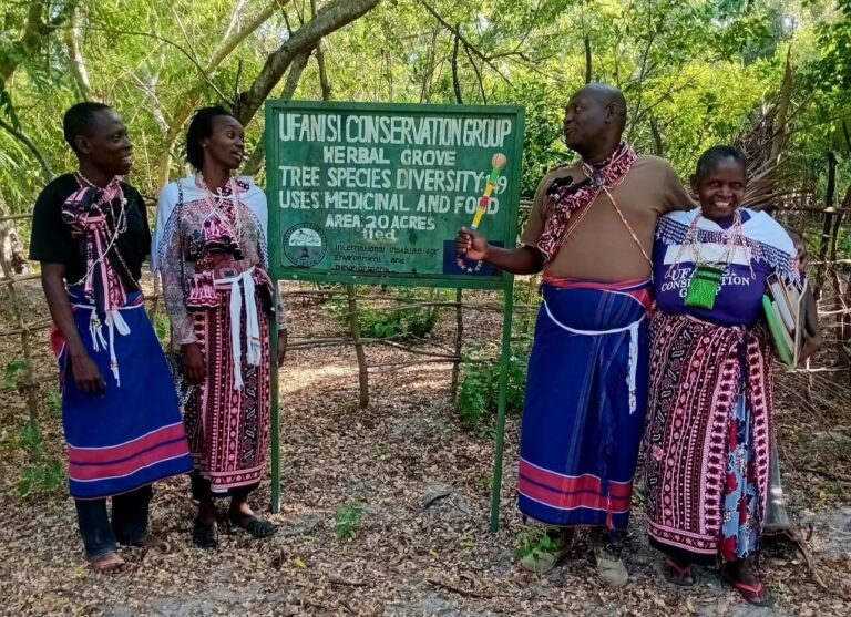 ufanisi herbal grove