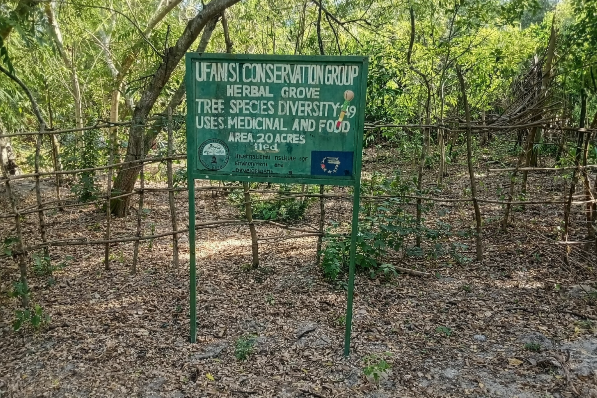 ufanisi herbal grove resized