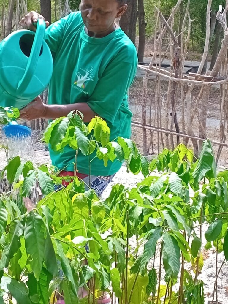 whatsapp image 2026 01 27 at 19.25.43