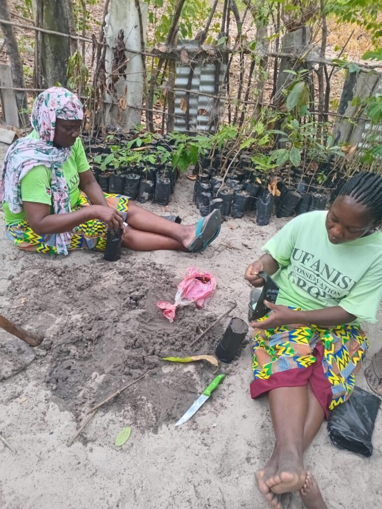 whatsapp image 2026 01 27 at 19.26.41 (1)