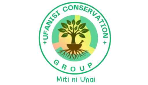 logo ufanisi website removebg preview